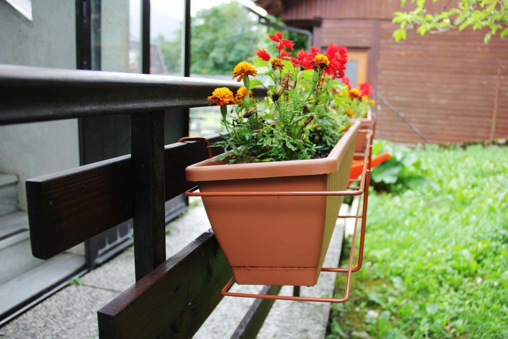 Hostel Bovec Bagian luar foto
